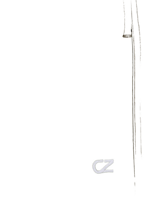 CRUZ EYEMOUTH JR. BASIC SHORTS V2