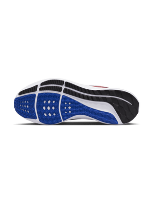 WMNS NIKE AIR ZOOM PEGASUS 39