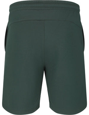 VIRTUS PATRICK V3 M SWEAT SHORTS