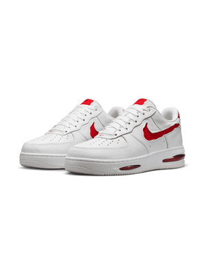 NIKE AIR FORCE 1 LOW EVO