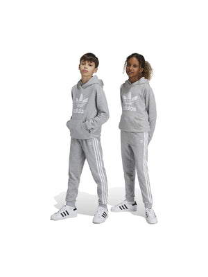 ADIDAS TREFOIL PANTS MGREYH