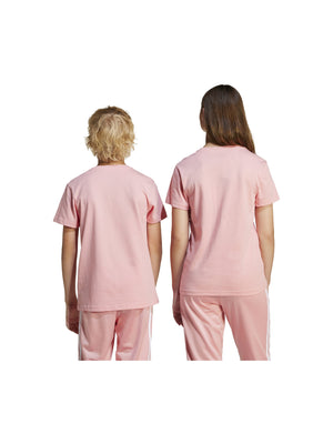 ADIDAS TREFOIL TEE SEPISP