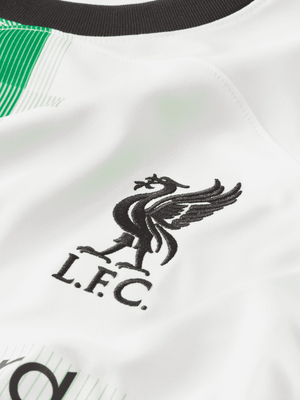 NIKE LFC M NK DF STAD JSY SS AW
