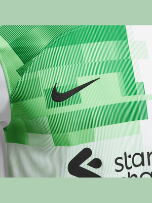 NIKE LFC M NK DF STAD JSY SS AW