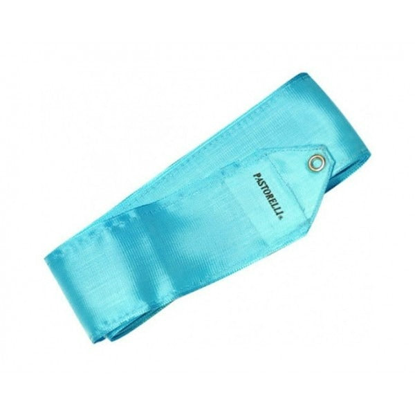 PASTORELLI MONOCHROME 4 M RIBBON   -  SKY BLUE