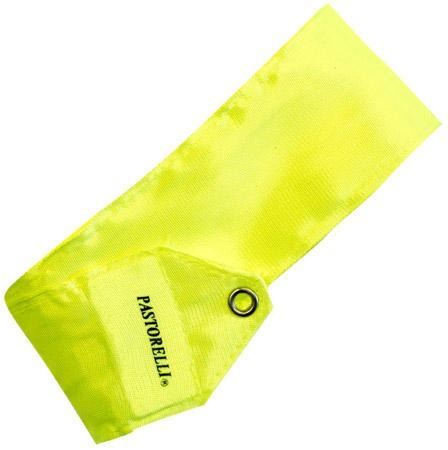 PASTORELLI MONOCHROME 5 M RIBBON  -  FLUORESCENT YELLOW