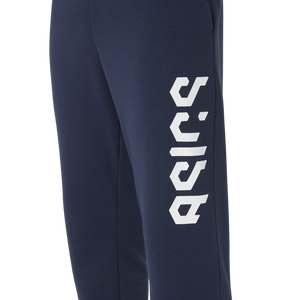 ASICS HEX GRAPHIC FRENCH TERRY PANTS