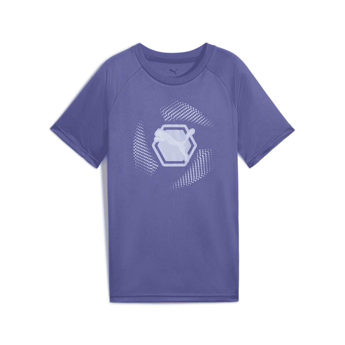 PUMA ACTIVE SPORTS Graphic Poly Tee B