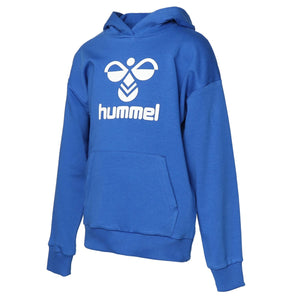 HUMMEL HMLAHRI HOODIE