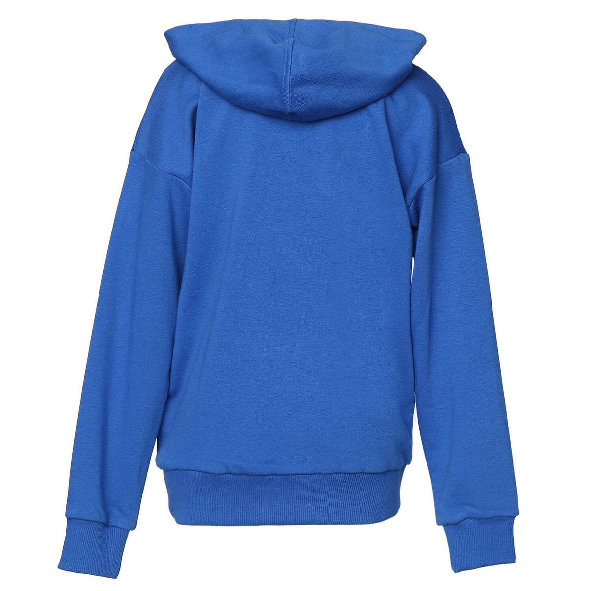 HUMMEL HMLAHRI HOODIE
