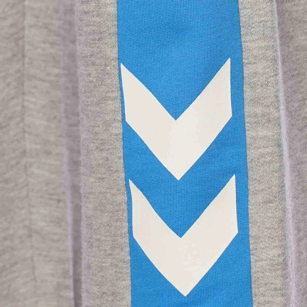 HUMMEL- HMLHOLMES PANTS