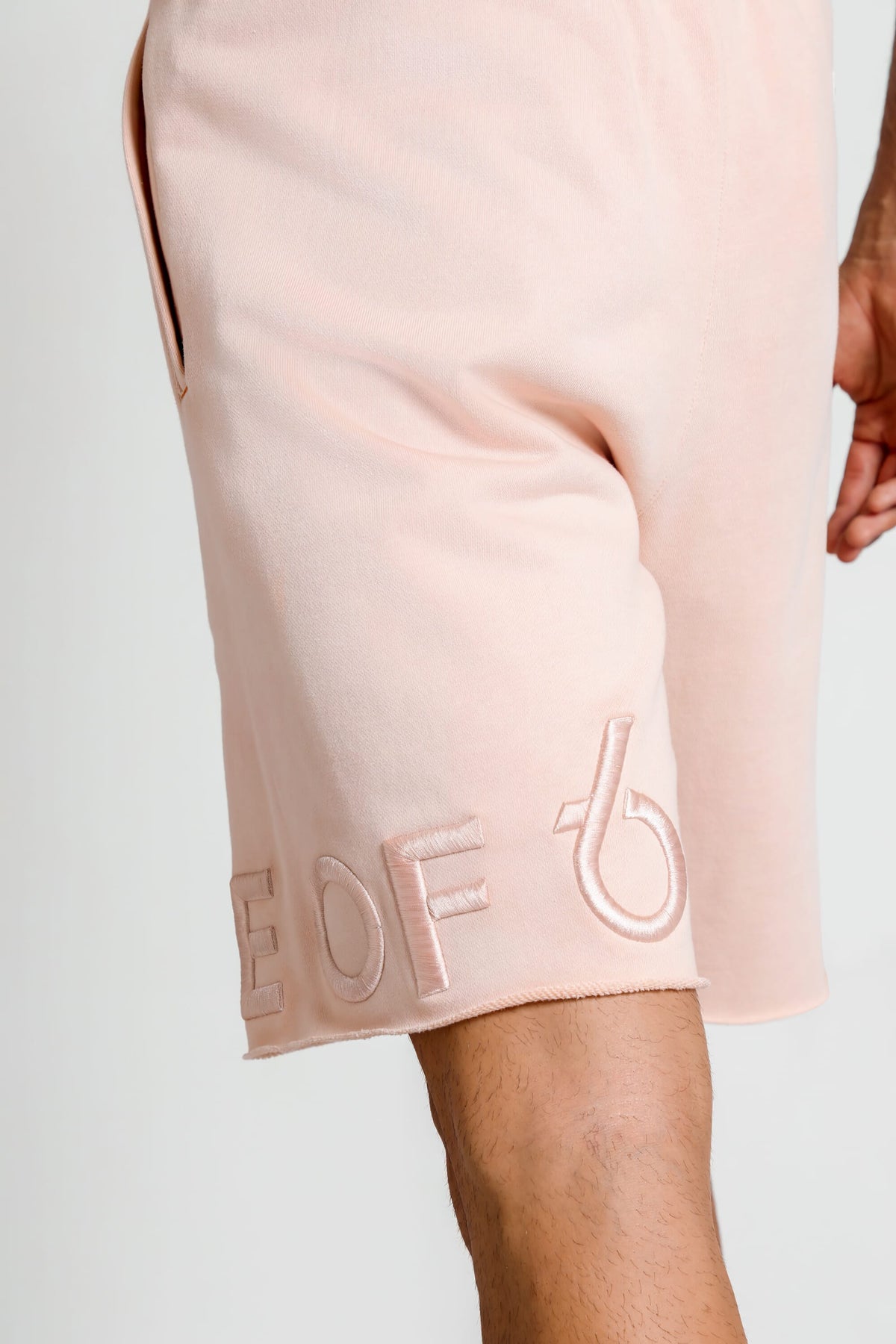 TRIBE OF 6 BJORN EMBROIDERED SHORTS