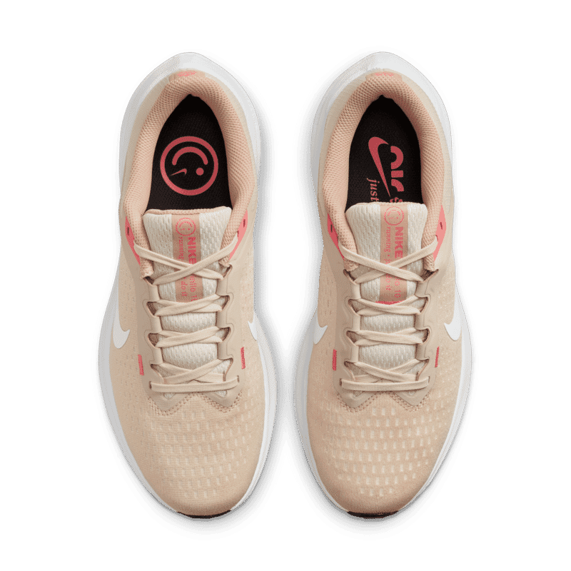 NIKE W AIR WINFLO 10