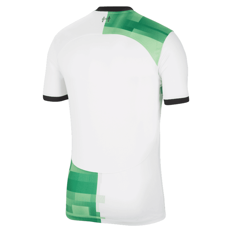 NIKE LFC M NK DF STAD JSY SS AW