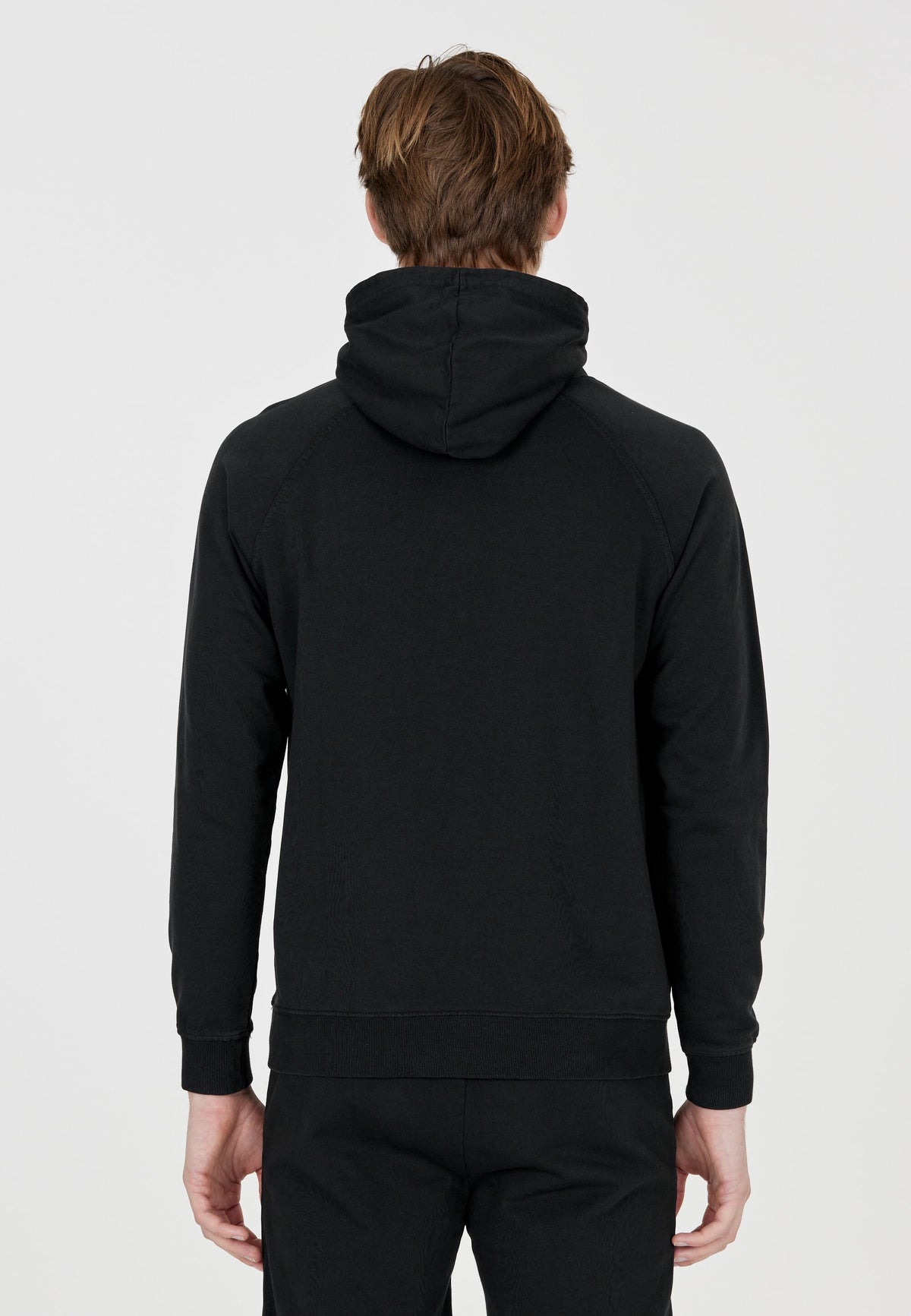 VIRTUS BOLD M HOODY