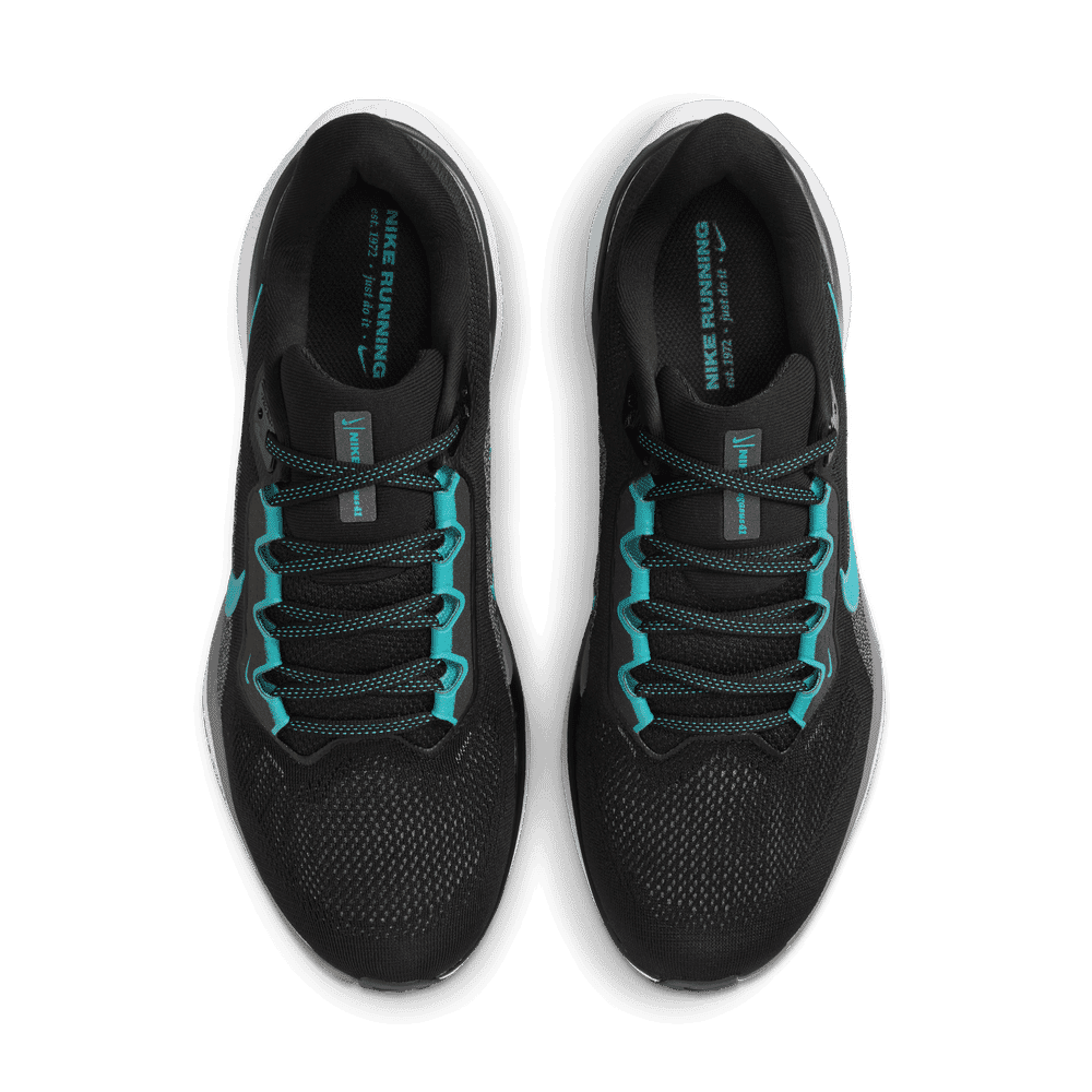 NIKE AIR ZOOM PEGASUS 41