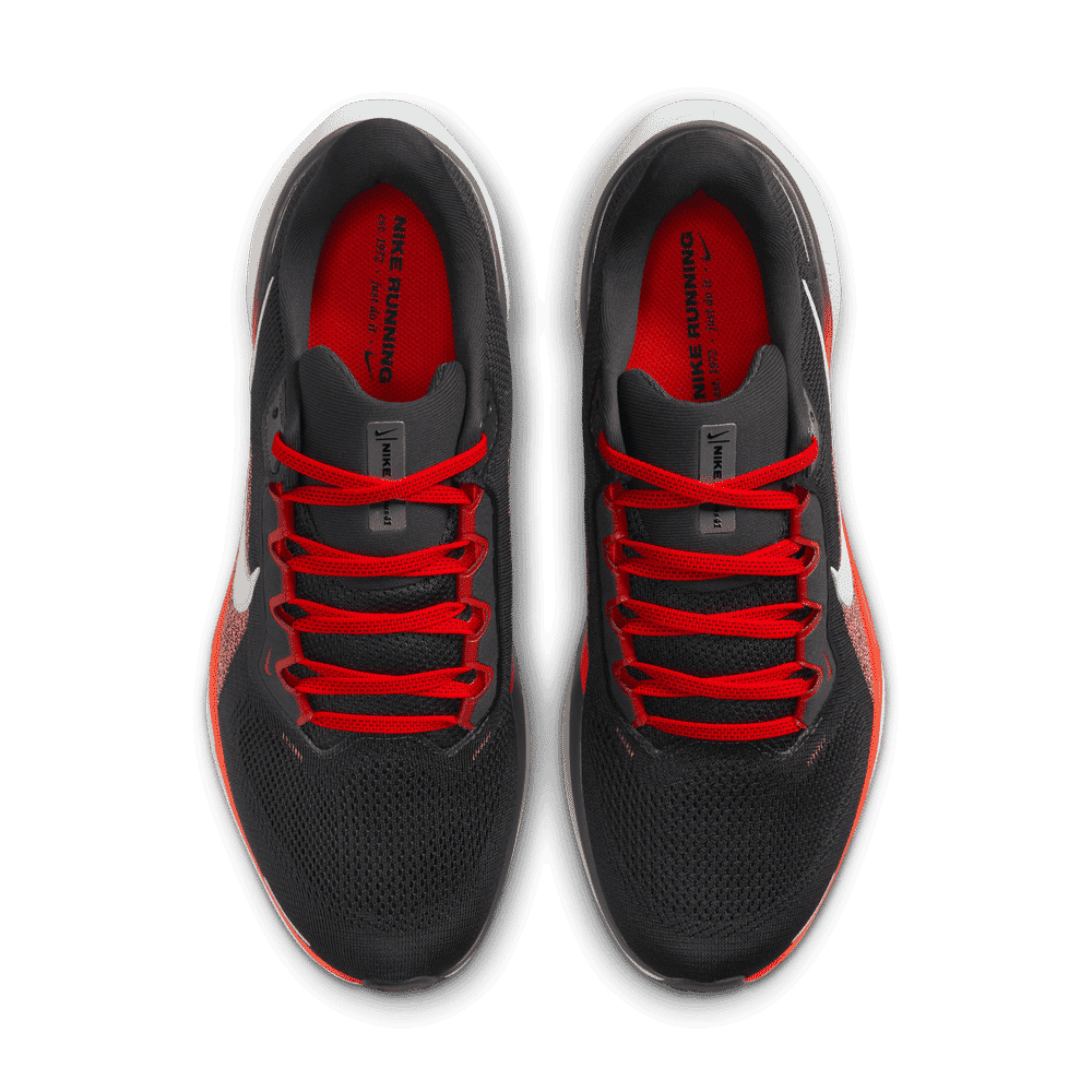 NIKE AIR ZOOM PEGASUS 41