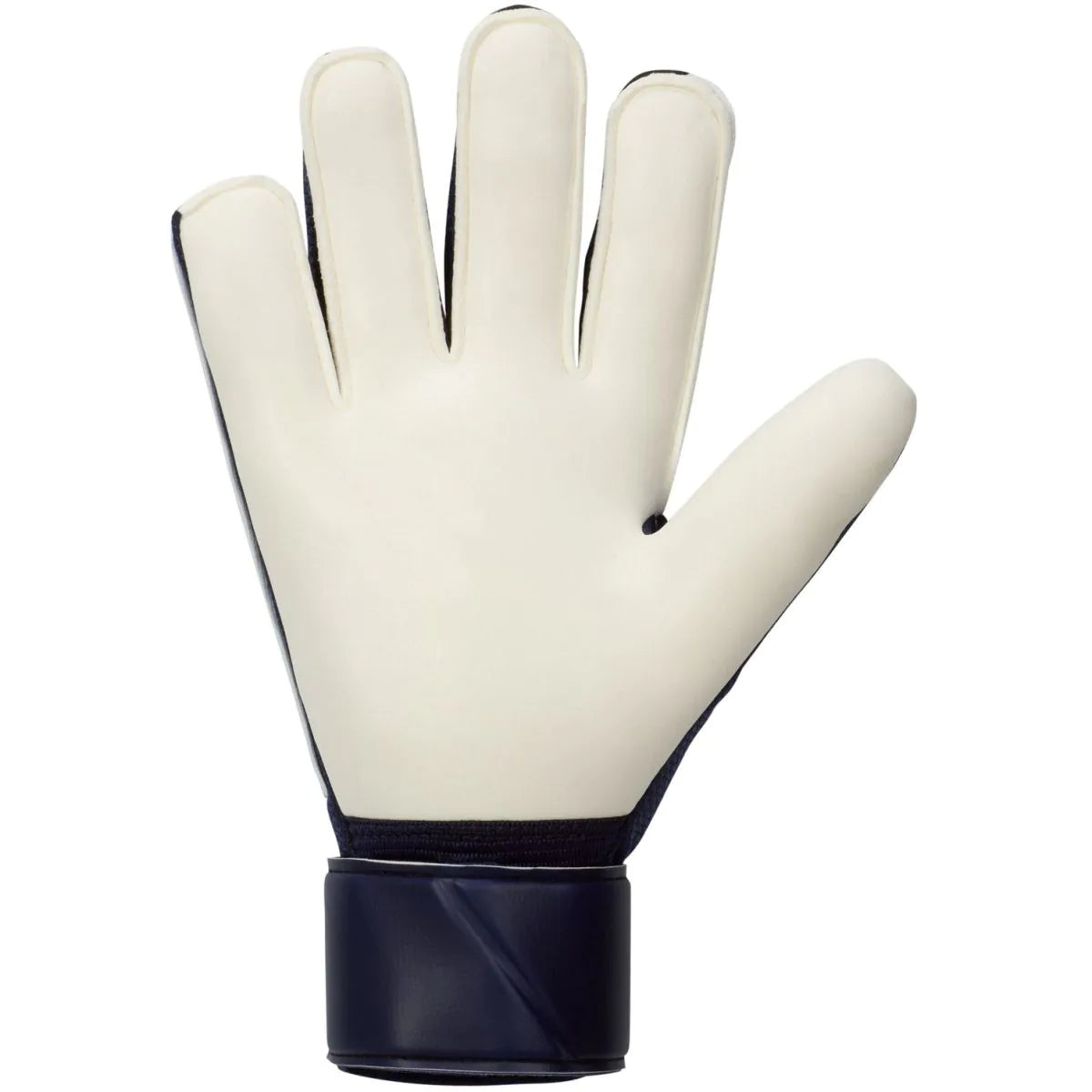 NIKE NK GK MATCH - HO23