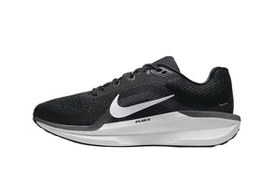 WMNS NIKE AIR WINFLO 11