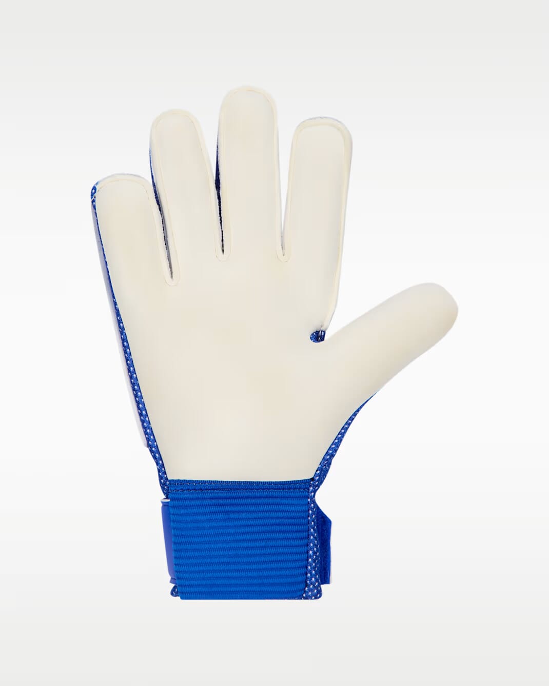 NIKE NK GK MATCH JR - HO24