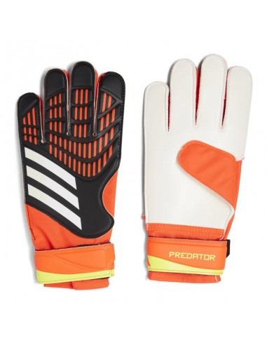 ADIDAS PRED GL TRN