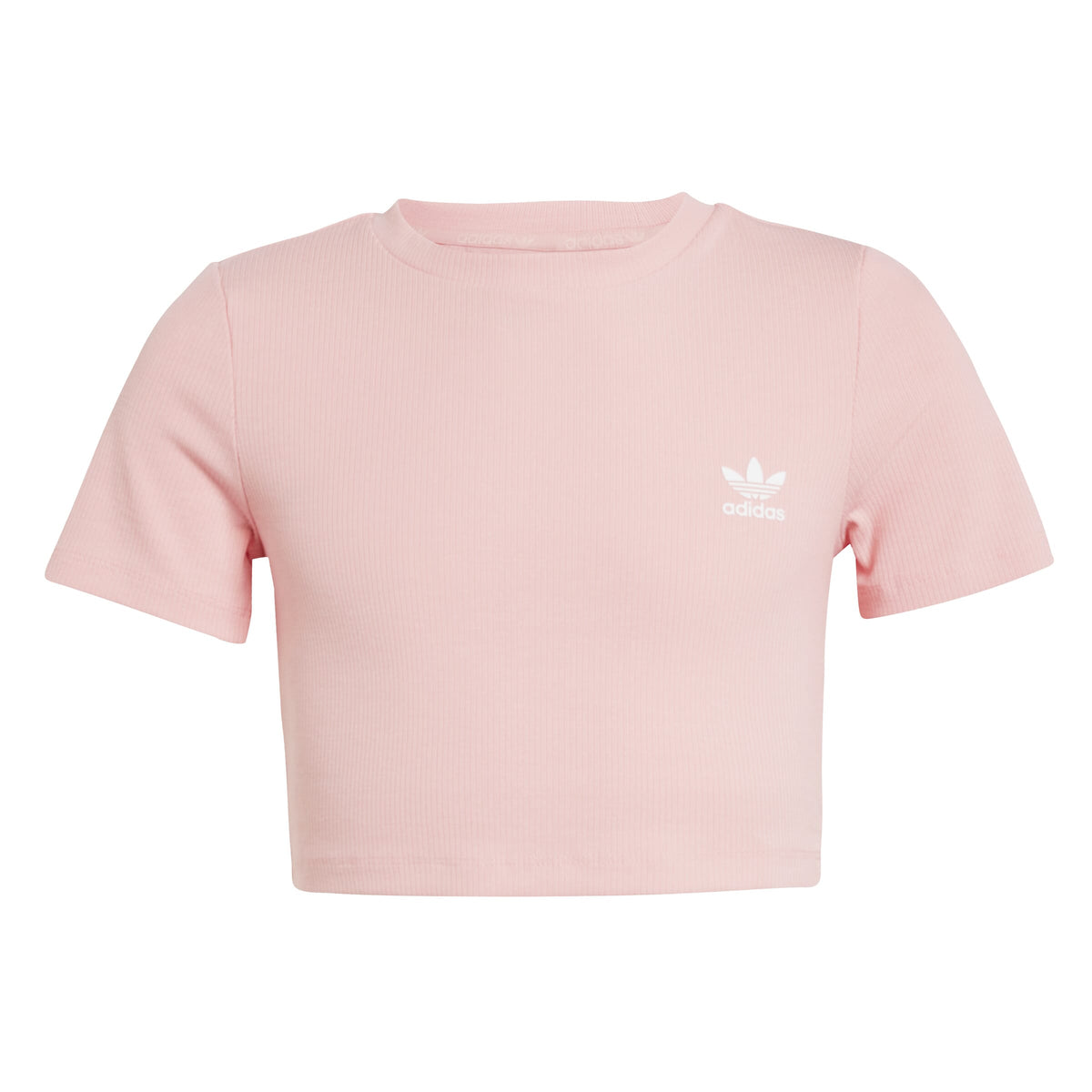 ADIDAS RIB CROP TEE        SEPISP