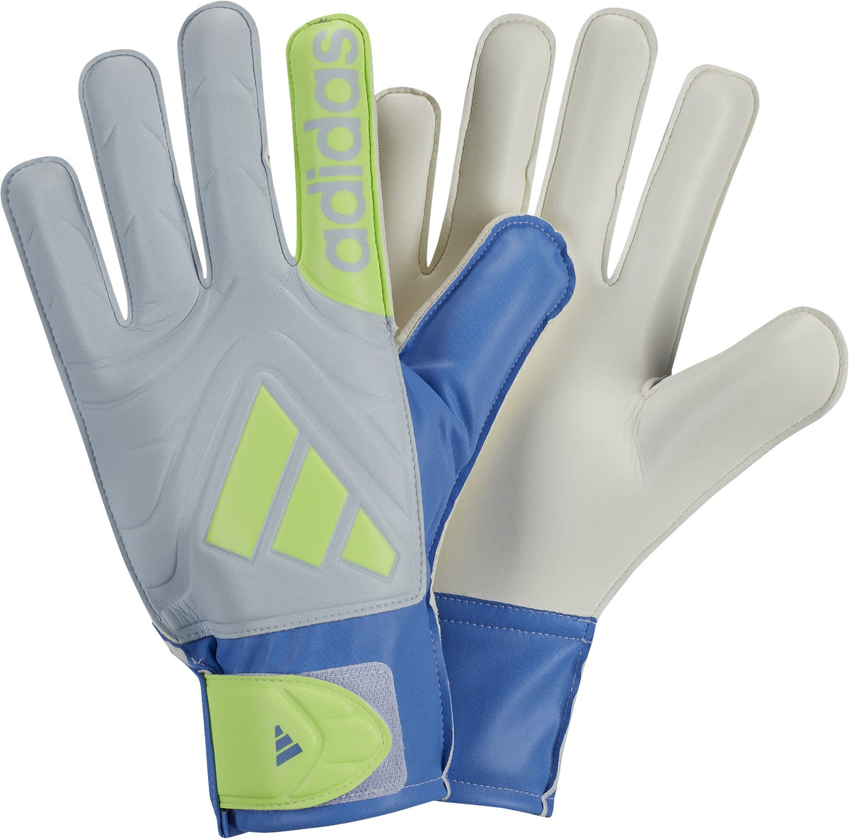 ADIDAS COPA GL CLB         BLUFUS/HALBLU/LUCLEM