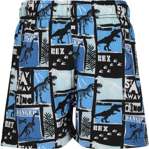ZIGZAG JOSEPH BOARDSHORTS