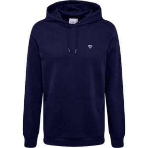 HUMMEL HMLIC TERRY HOODIE