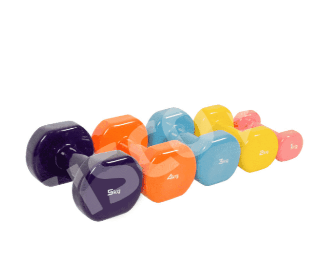GISCO DUMBBELL 2KG