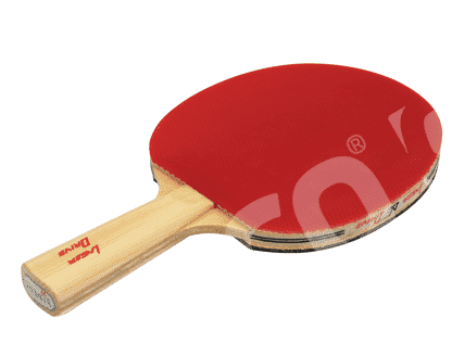 GISCO TABLE TENNIS BAT NISAKU
