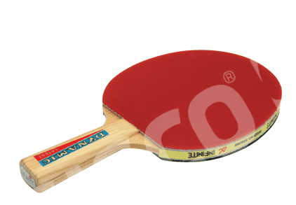 GISCO TABLE TENNIS BAT DYNAMIC