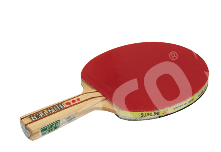 GISCO TABLE TENNIS BAT HUNTER