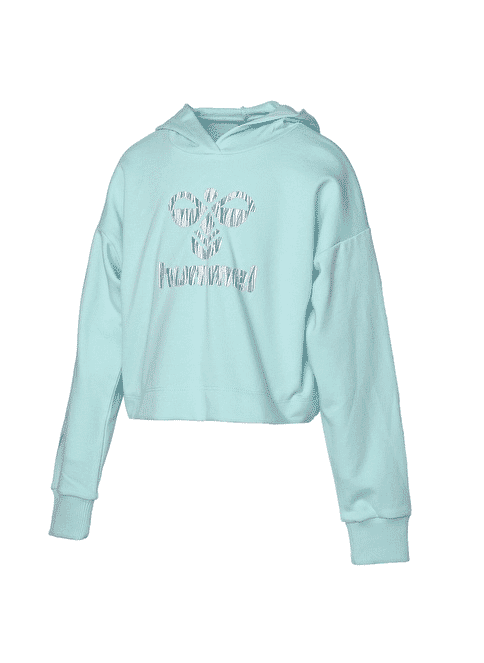 HUMMEL HMLRANUNCULUS HOODIE