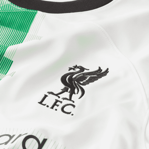 NIKE LFC M NK DF STAD JSY SS AW