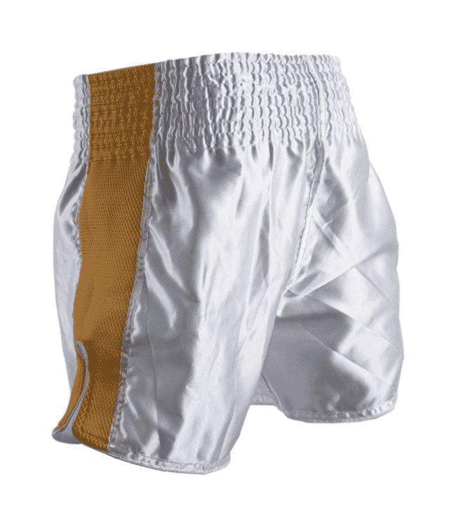 SUPER PRO COMBAT GEAR THAI AND KICKBOXING SHORT BRAVE