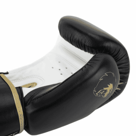 SUPER PRO COMBAT GEAR WARRIOR SE LEATHER (KICK) BOXING GLOVES